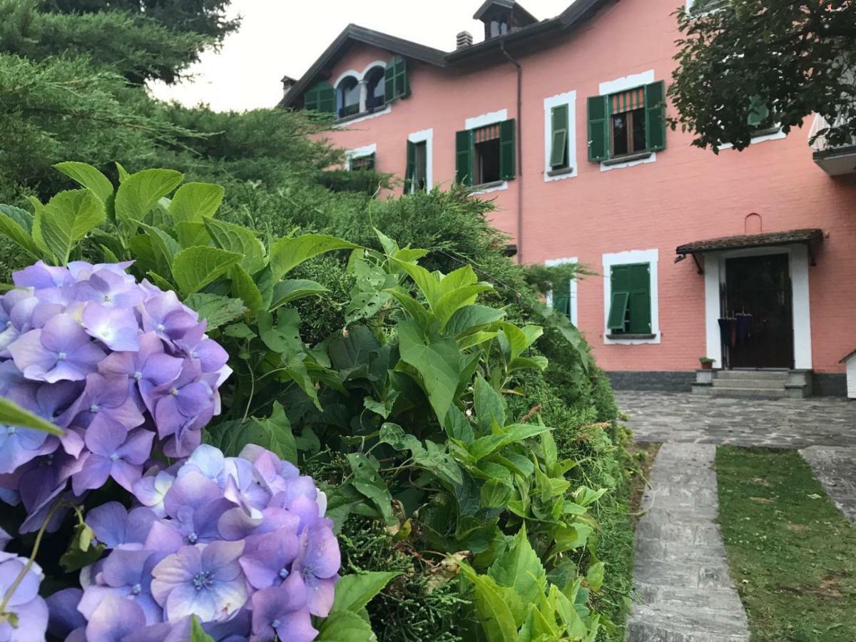 Villa Le Vignole Ameno Exterior foto